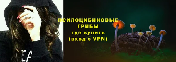 герыч Козловка
