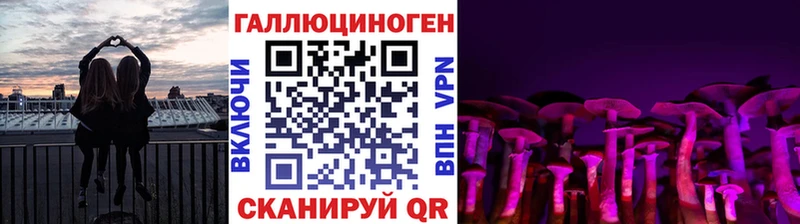 ОМГ ОМГ   Малоархангельск  Галлюциногенные грибы Psilocybine cubensis 